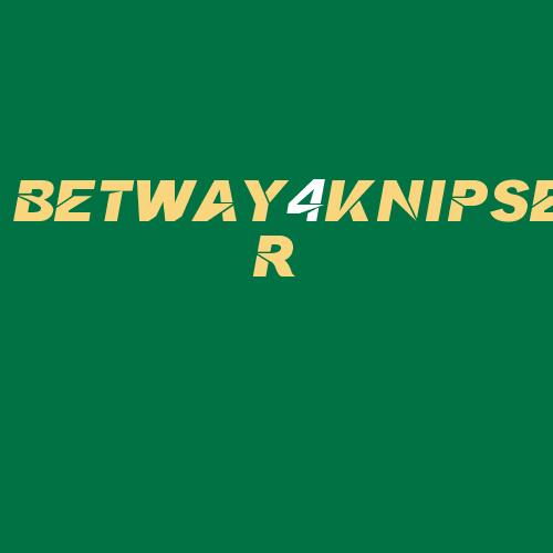 Logo da BETWAY4KNIPSER